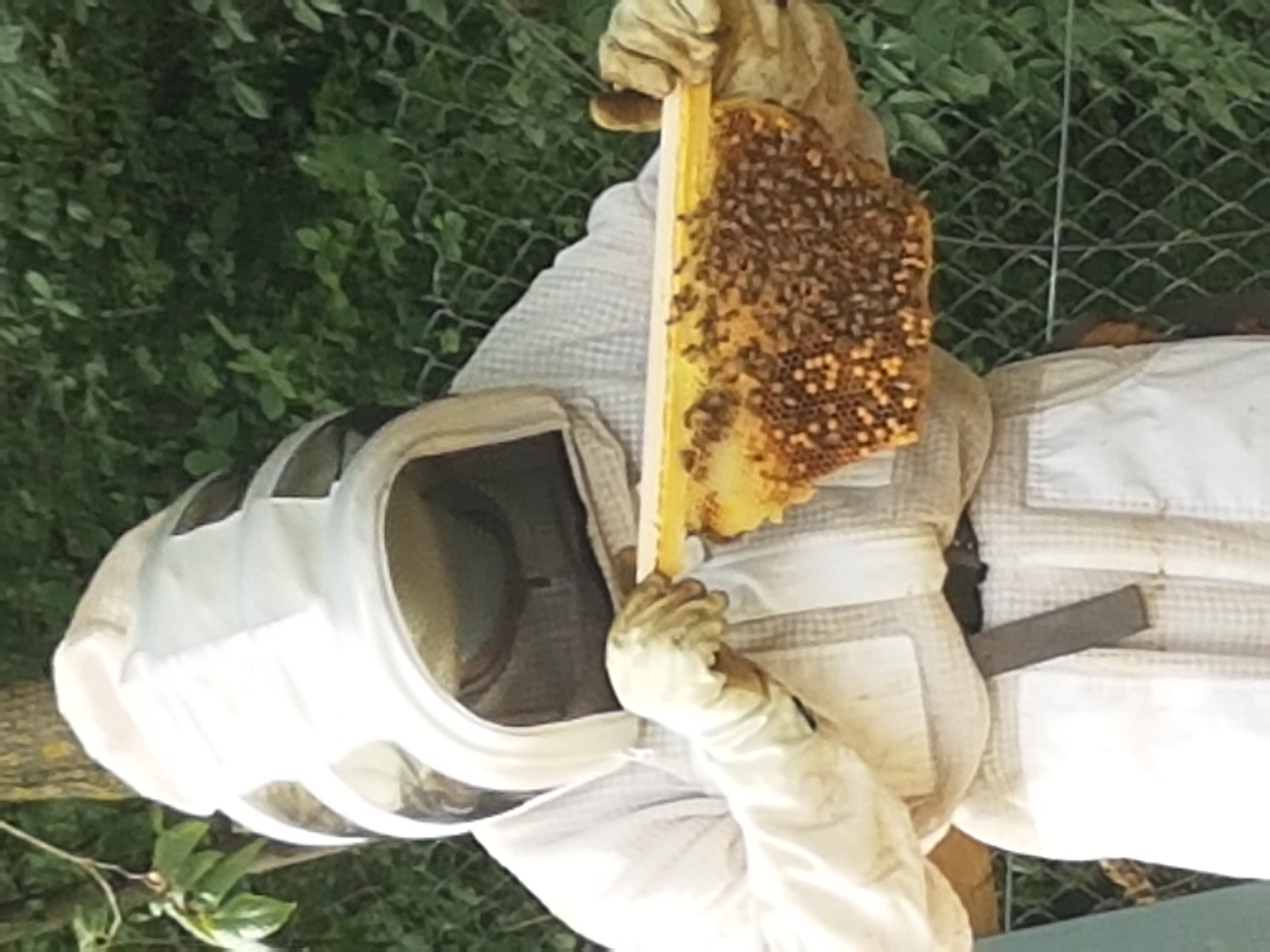 Inaugurazione Oasi delle api